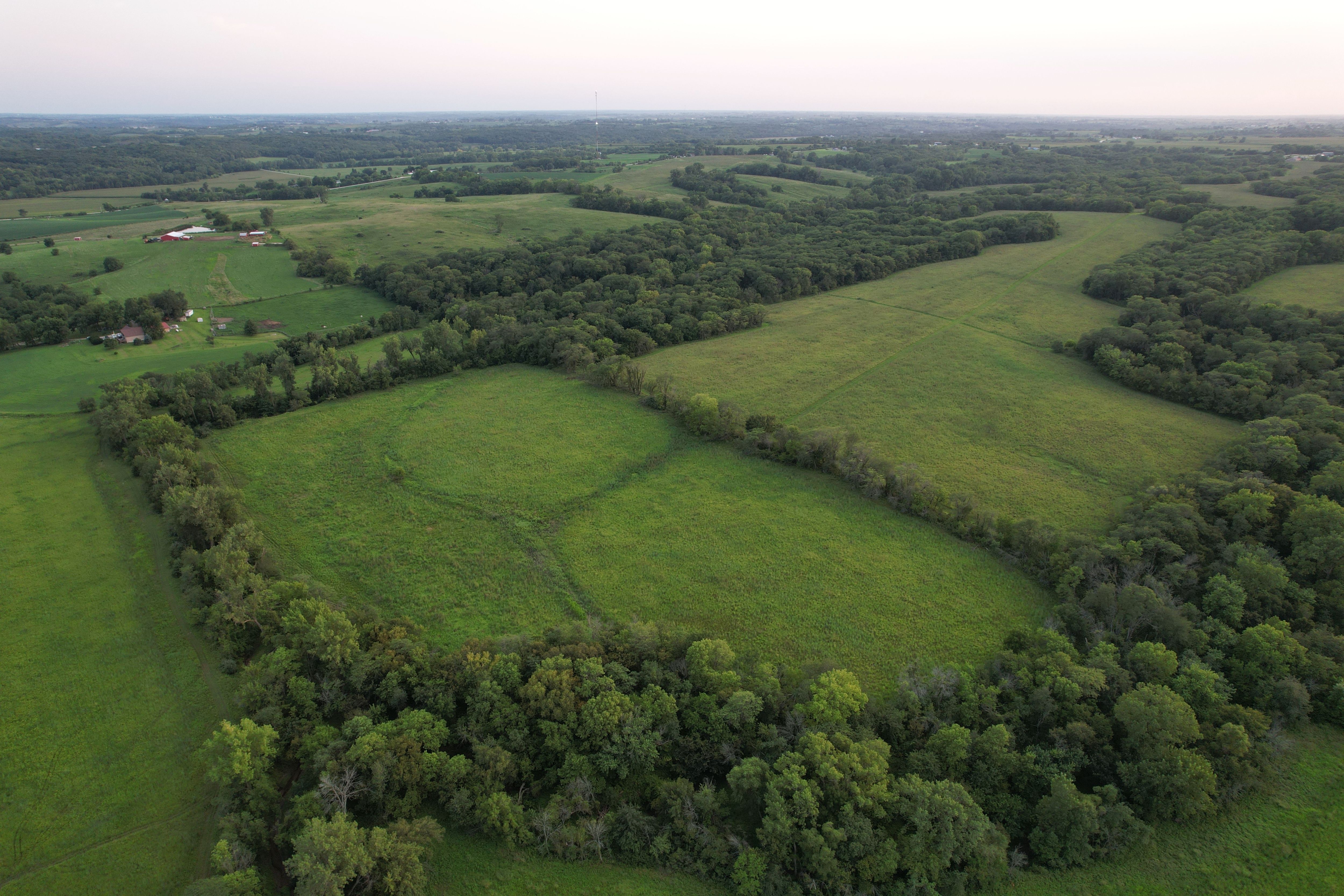 Listing Photo: Krumme Drone (32)